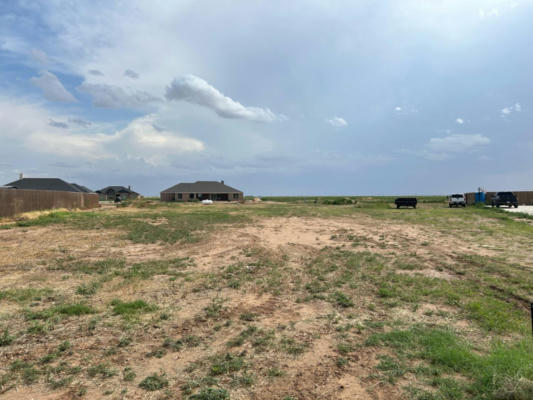 1041 KITTY LN, NEW HOME, TX 79381 - Image 1