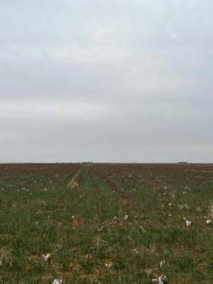 0 FM 597, ABERNATHY, TX 79311 - Image 1