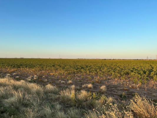 9 E COUNTY ROAD 5400, LUBBOCK, TX 79403, photo 5 of 8