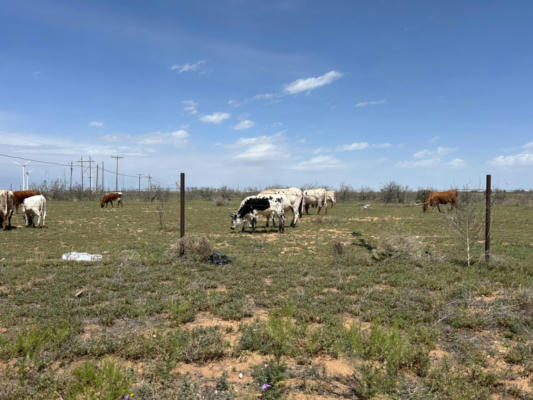 4320 E 60TH ST, LUBBOCK, TX 79403, photo 4 of 4