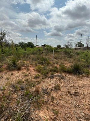 506 S 10TH ST, BROWNFIELD, TX 79316 - Image 1